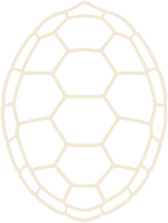 Turtle shell mark