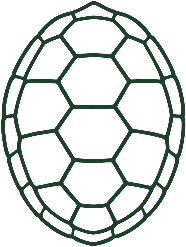 Turtle shell mark on Arena